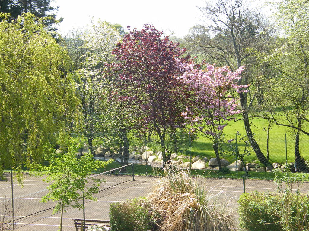Riverfield Bed And Breakfast Gorey Dış mekan fotoğraf