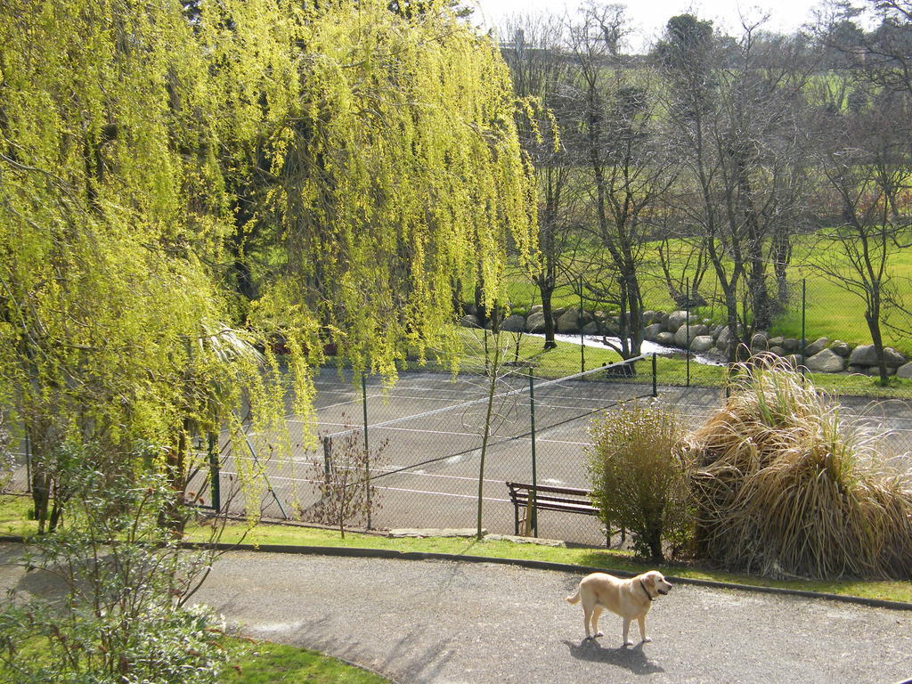 Riverfield Bed And Breakfast Gorey Dış mekan fotoğraf