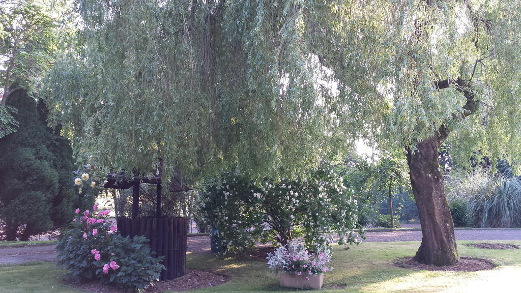 Riverfield Bed And Breakfast Gorey Dış mekan fotoğraf