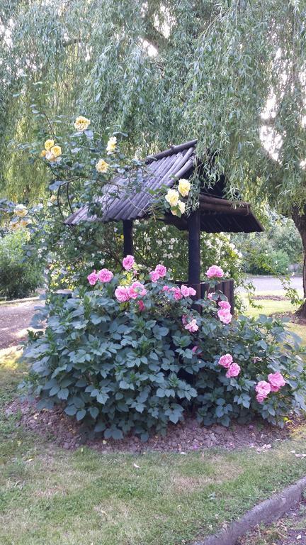 Riverfield Bed And Breakfast Gorey Dış mekan fotoğraf