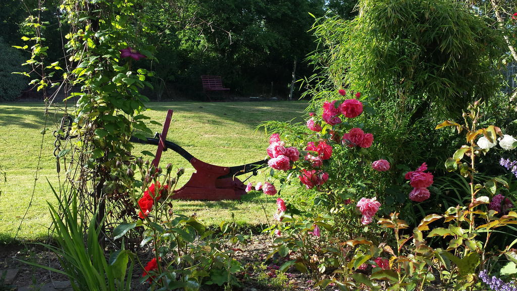 Riverfield Bed And Breakfast Gorey Dış mekan fotoğraf