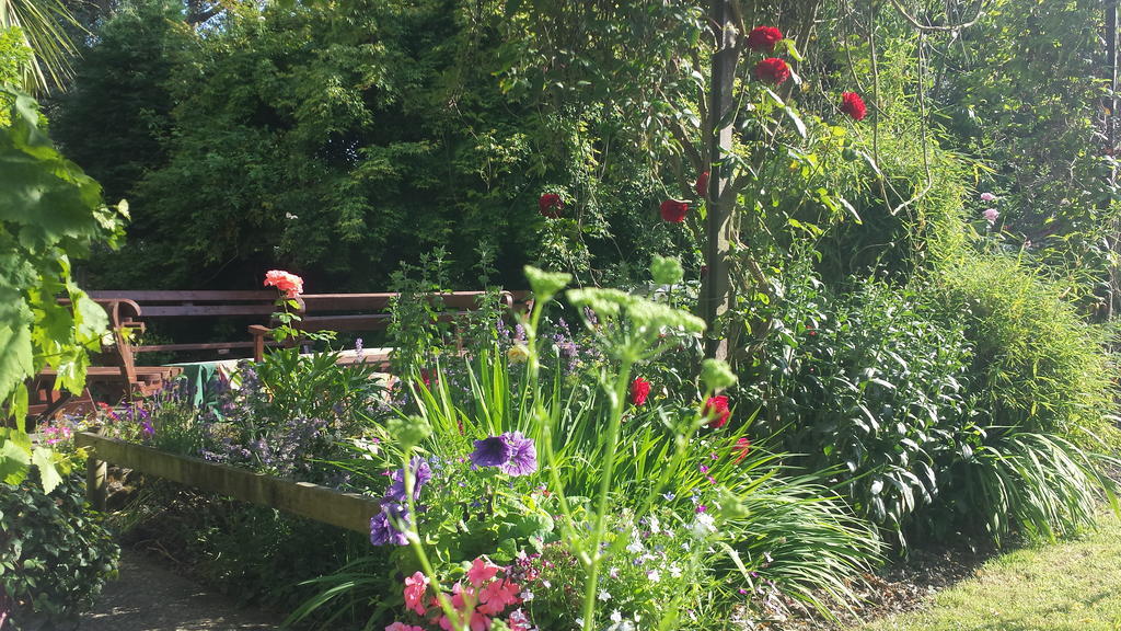 Riverfield Bed And Breakfast Gorey Dış mekan fotoğraf